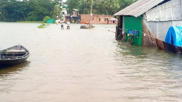 চাঁদপুরে ৩১টি ইউনিয়নে ৩৫ হাজার মানুষ পানিবন্দি