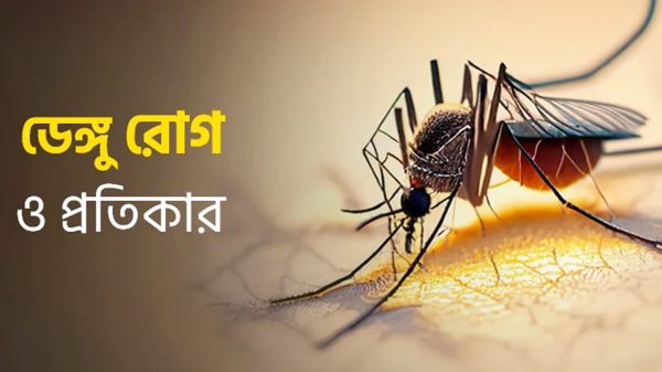 ডেঙ্গু থেকে বাঁচার উপায়: সতর্কতা অবলম্বন করুন, সুস্থ থাকুন