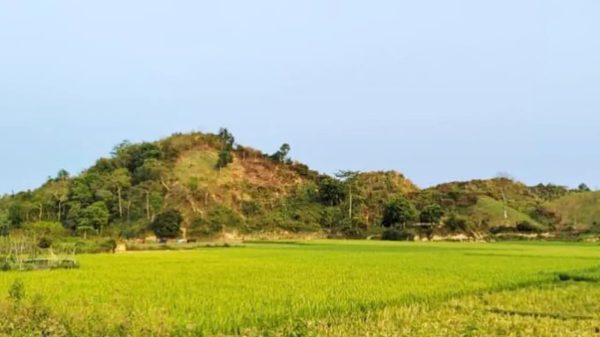 টেকনাফে ২ রোহিঙ্গাসহ ৯ কৃষককে অপহরণ